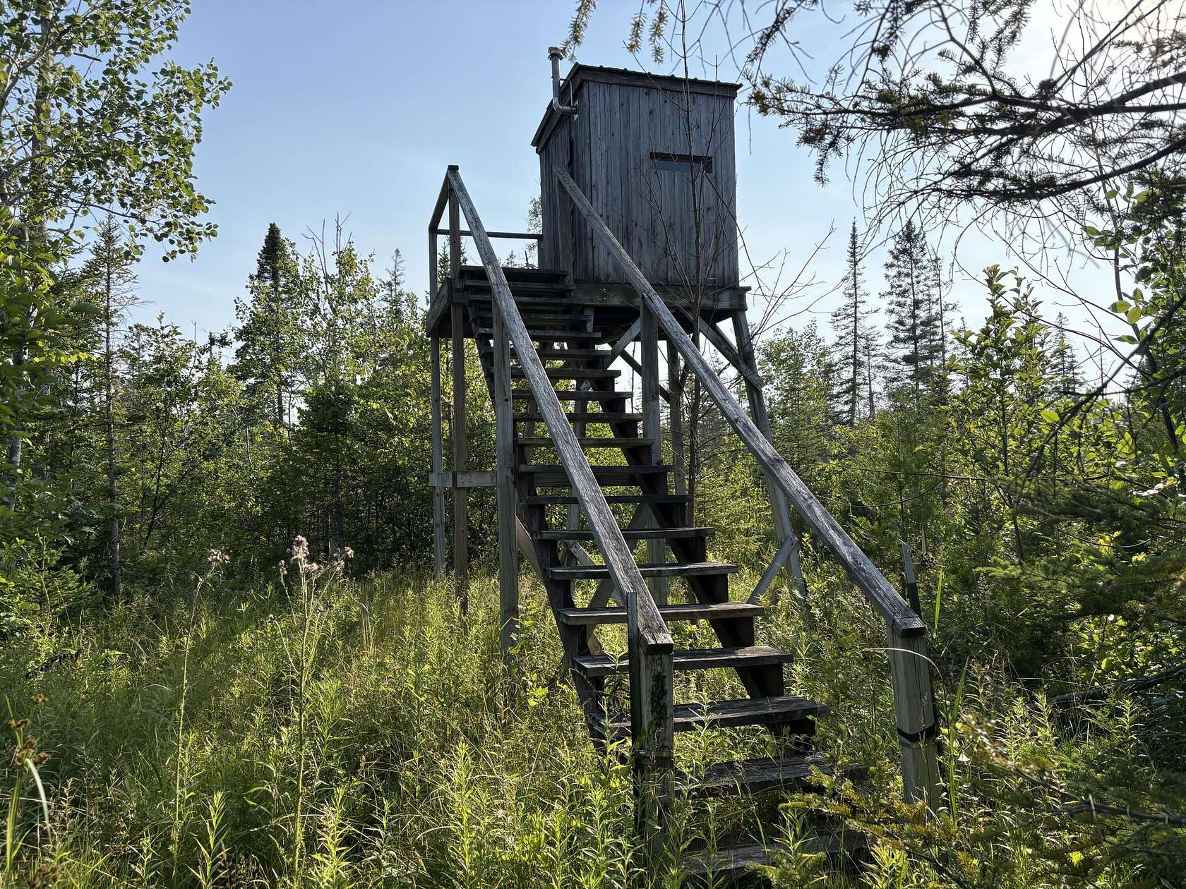 53.4 Acres of Recreational Land for Sale in Rogers City, Michigan