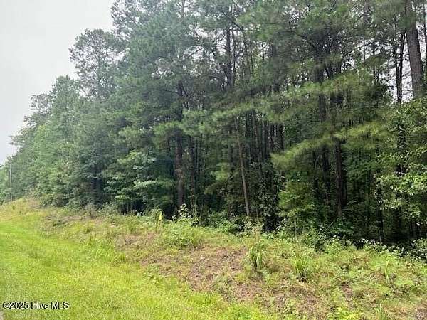 19.2 Acres of Recreational Land for Sale in Anderson Creek Township, North Carolina