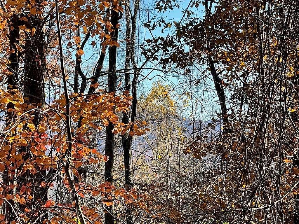 1.69 Acres of Residential Land for Sale in Hayesville, North Carolina