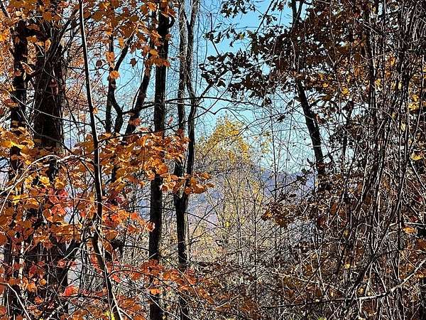 1.69 Acres of Residential Land for Sale in Hayesville, North Carolina