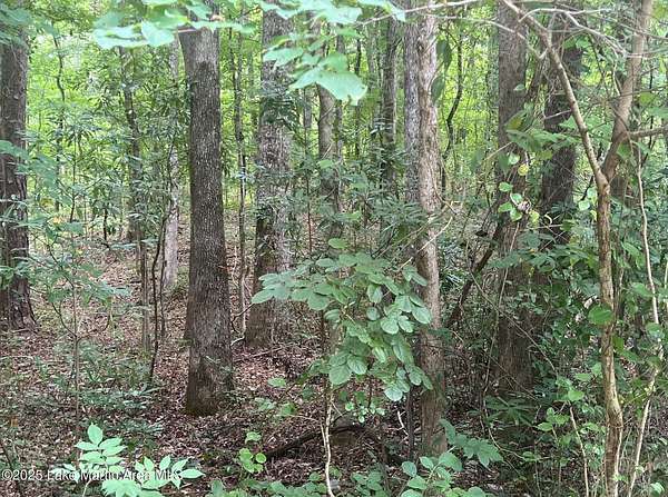 0.5 Acres of Residential Land for Sale in Dadeville, Alabama