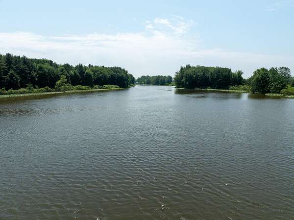 14.7 Acres of Recreational & Residential Land for Sale in Custer, Michigan