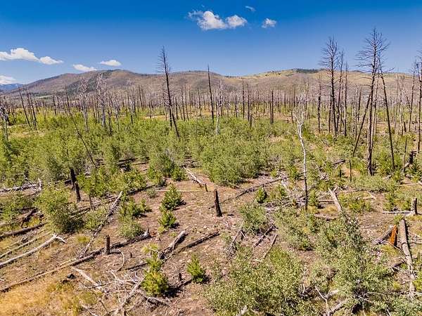 1.82 Acres of Land for Sale in Fort Garland, Colorado