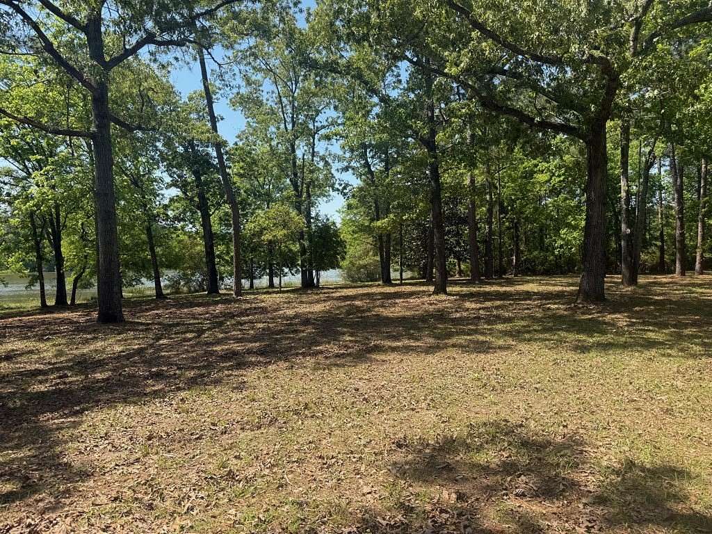 5 Acres of Residential Land for Sale in Fort Gaines, Georgia