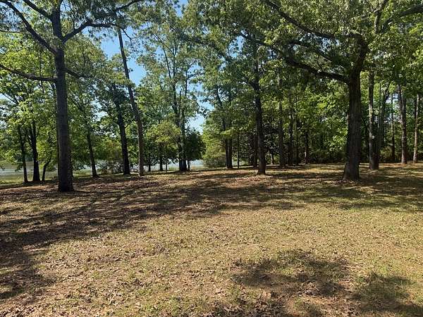 5 Acres of Residential Land for Sale in Fort Gaines, Georgia