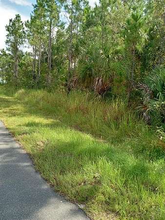 0.23 Acres of Residential Land for Sale in Palm Bay, Florida