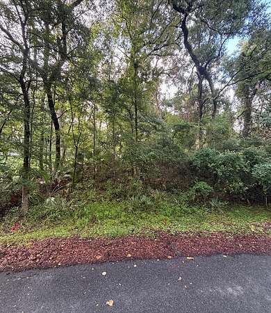 0.62 Acres of Residential Land for Sale in Old Town, Florida