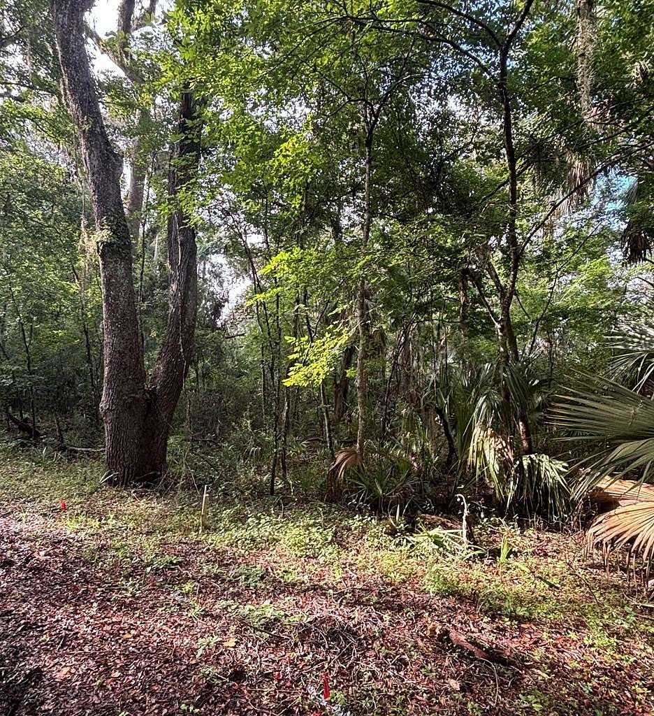 0.41 Acres of Residential Land for Sale in Old Town, Florida