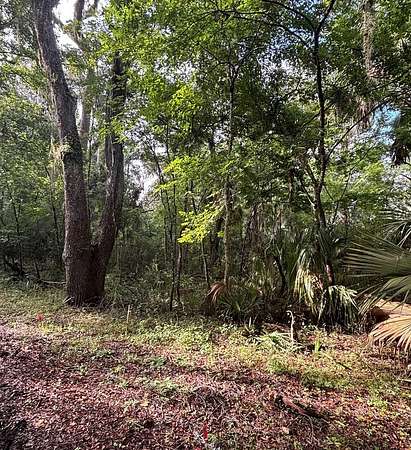 0.41 Acres of Residential Land for Sale in Old Town, Florida