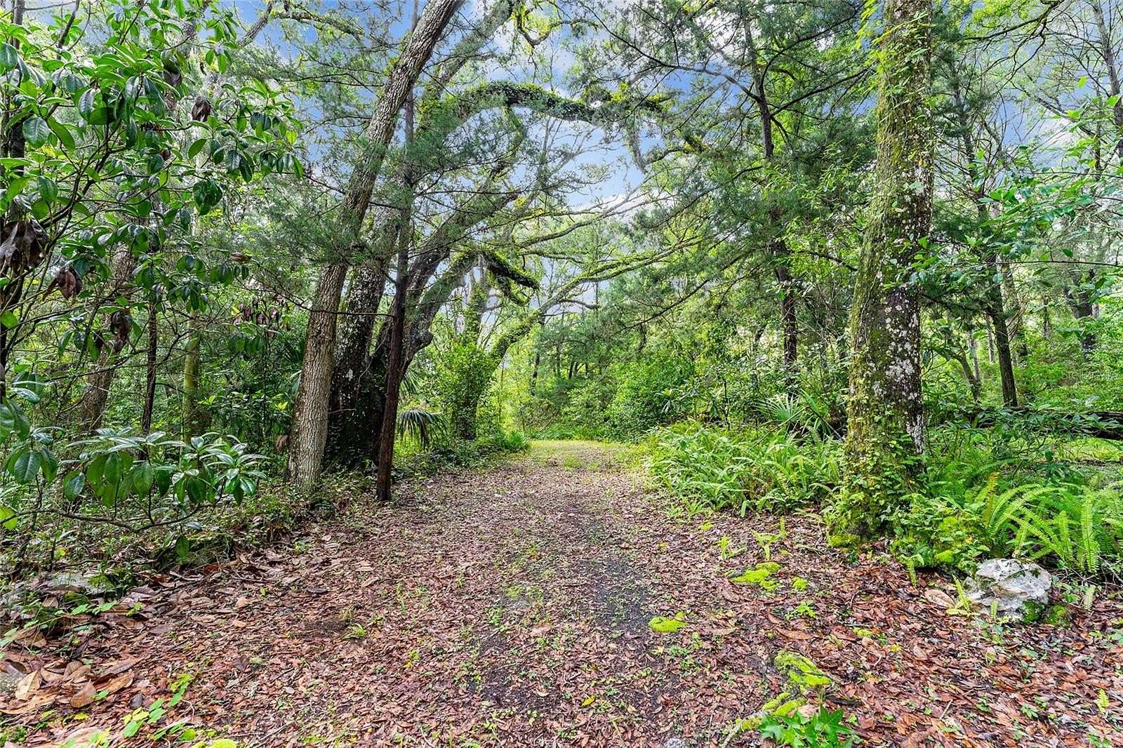 7 Acres of Residential Land with Home for Sale in Gainesville, Florida