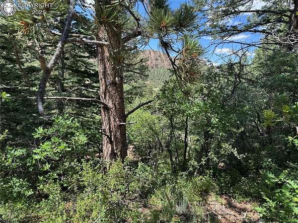 5 4 Acres of Residential Land for - Westcliffe Co 144733262