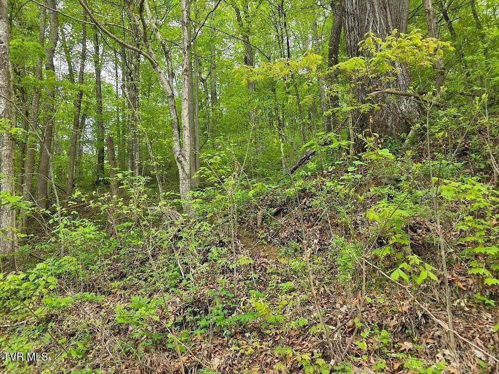 9.78 Acres of Residential Land for Sale in Elizabethton, Tennessee