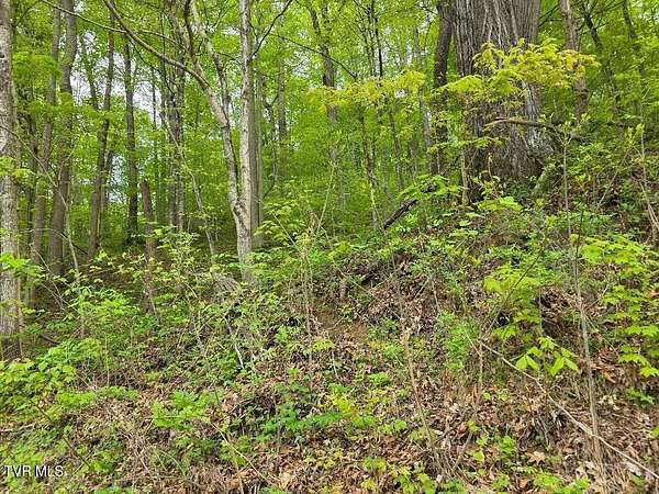 9.78 Acres of Residential Land for Sale in Elizabethton, Tennessee