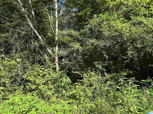 0.33 Acres of Land for Sale in Bessemer, Alabama