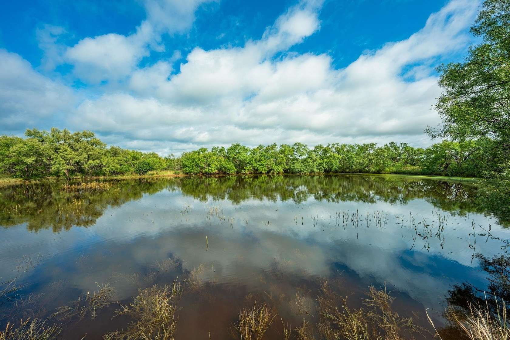 840 Acres of Agricultural Land for Sale in Llano, Texas