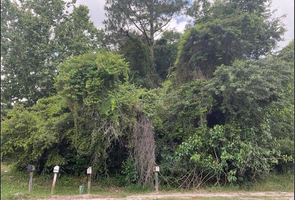 0.16 Acres of Land for Sale in Claxton, Georgia