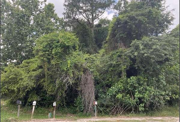 0.16 Acres of Land for Sale in Claxton, Georgia