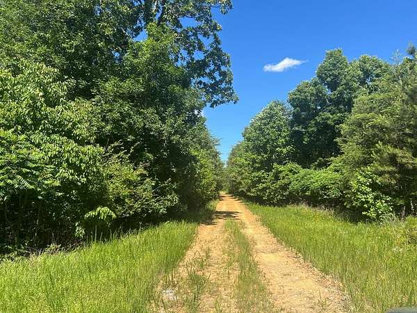 100 Acres of Recreational Land for Sale in Rydal, Georgia