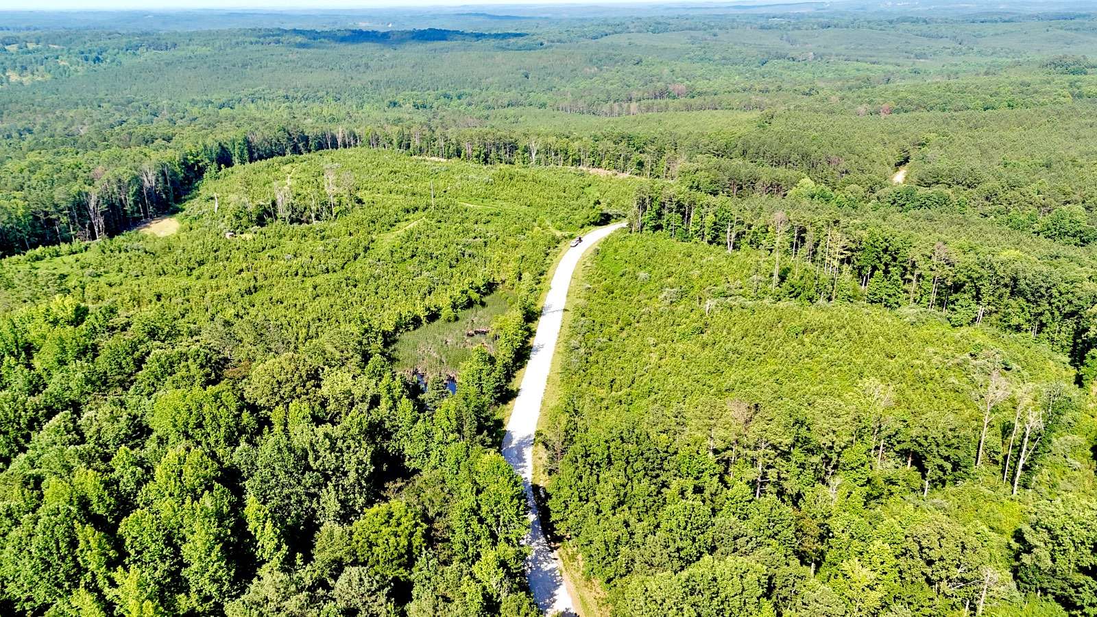 54 Acres of Land for Sale in Lynn, Alabama