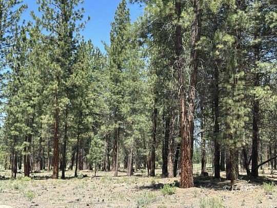 9.55 Acres of Land for Sale in Chiloquin, Oregon