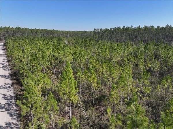 10.5 Acres of Recreational & Residential Land for Sale in Odum, Georgia