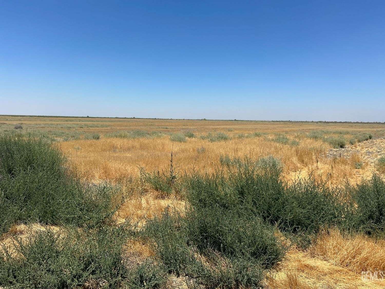 19.7 Acres of Agricultural Land for Sale in Alpaugh, California