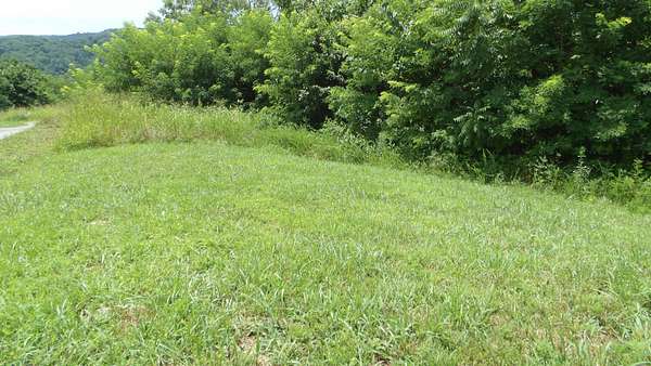 0.56 Acres of Residential Land for Sale in Hilham, Tennessee