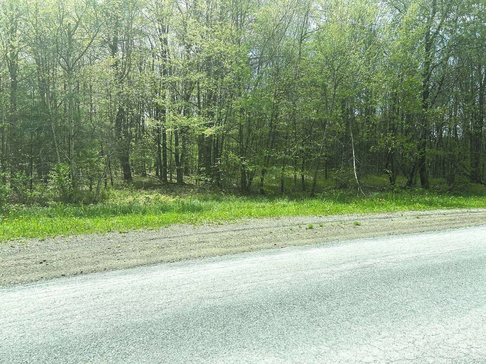 8.62 Acres of Land for Sale in Walton, New York