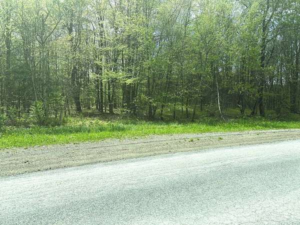 8.62 Acres of Land for Sale in Walton, New York