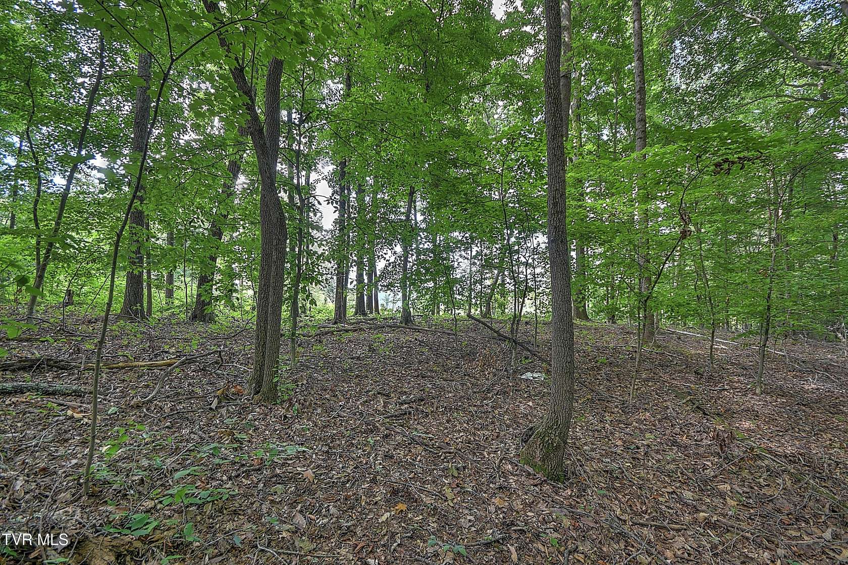 0.75 Acres of Residential Land for Sale in Church Hill, Tennessee