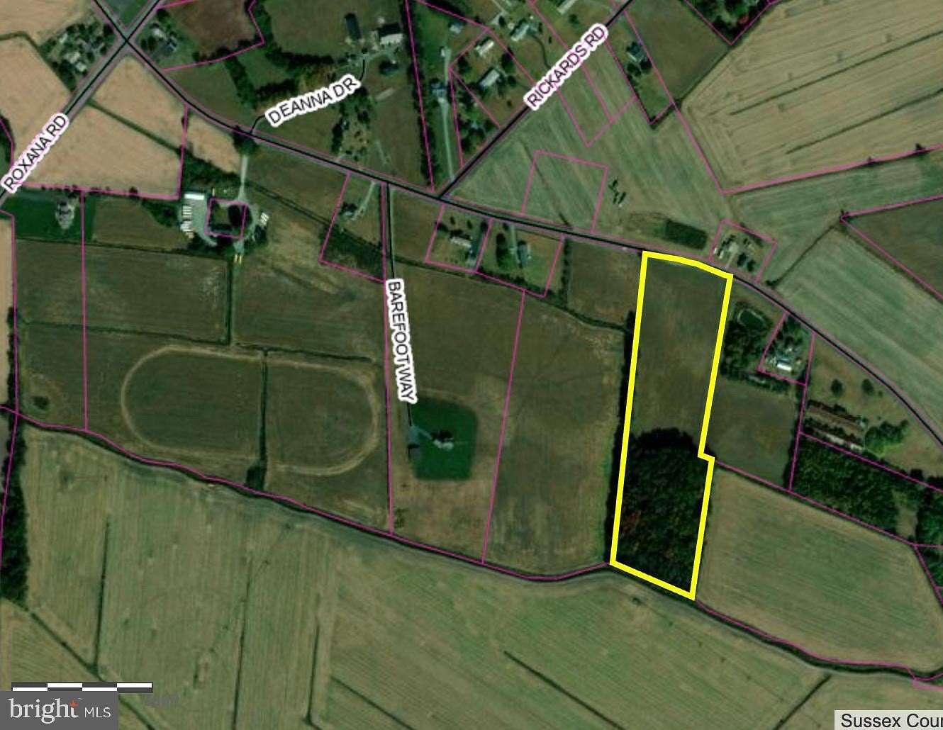 11.5 Acres of Land for Sale in Frankford, Delaware