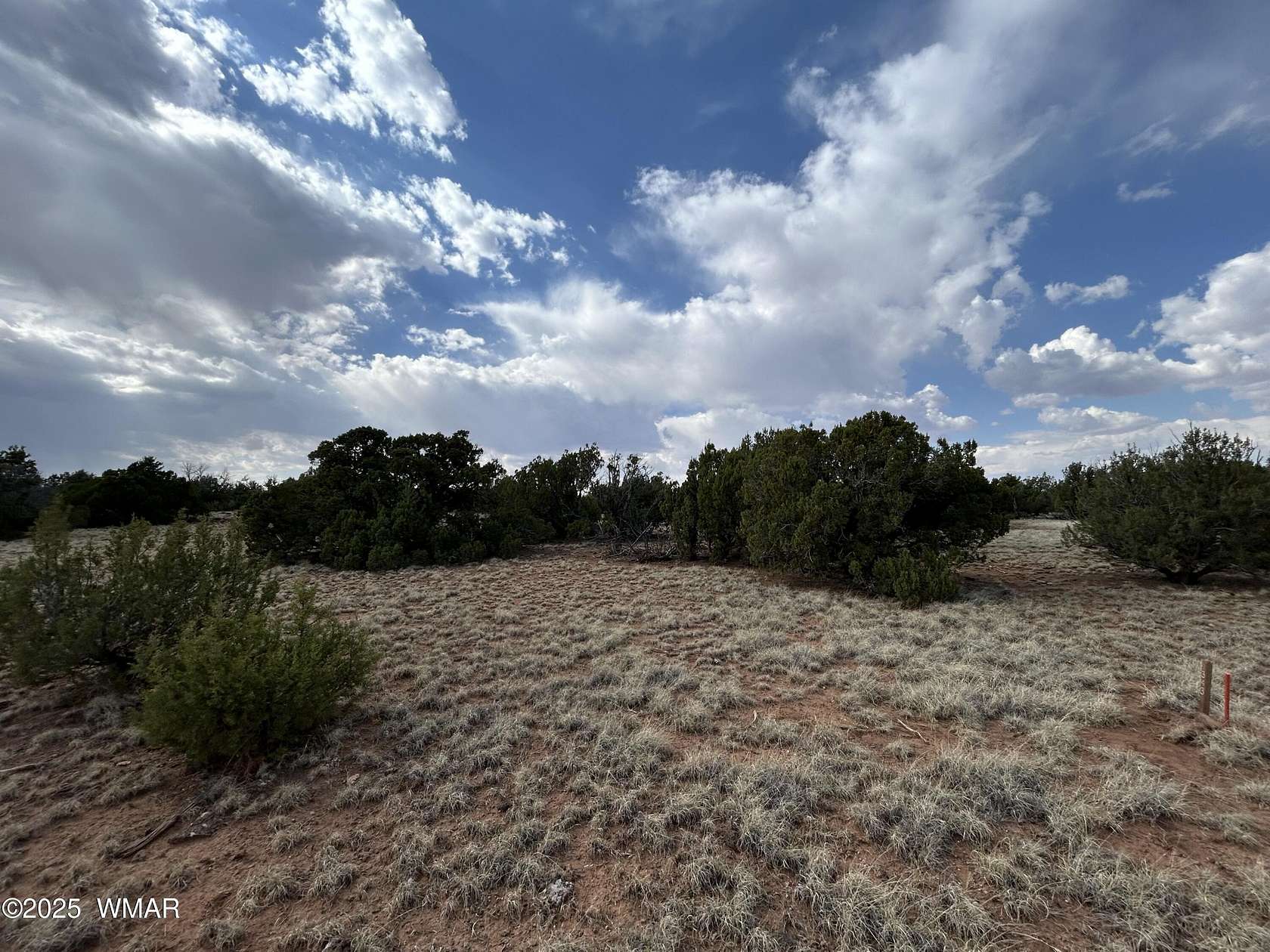 1.13 Acres of Residential Land for Sale in Concho, Arizona