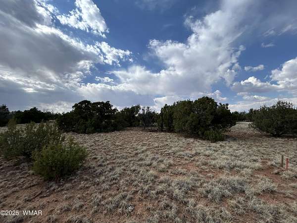 1.13 Acres of Residential Land for Sale in Concho, Arizona