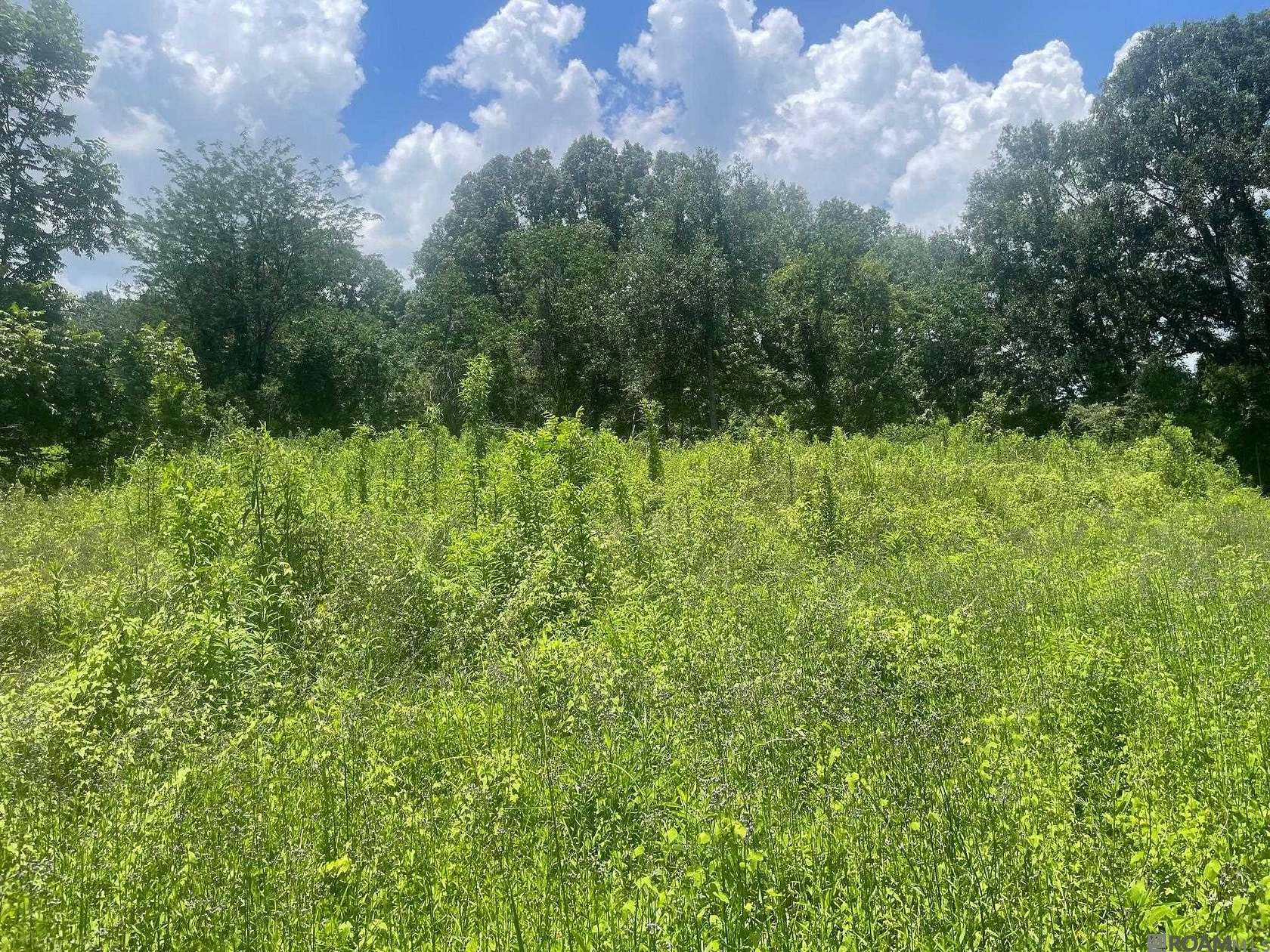 0.59 Acres of Residential Land for Sale in Baton Rouge, Louisiana