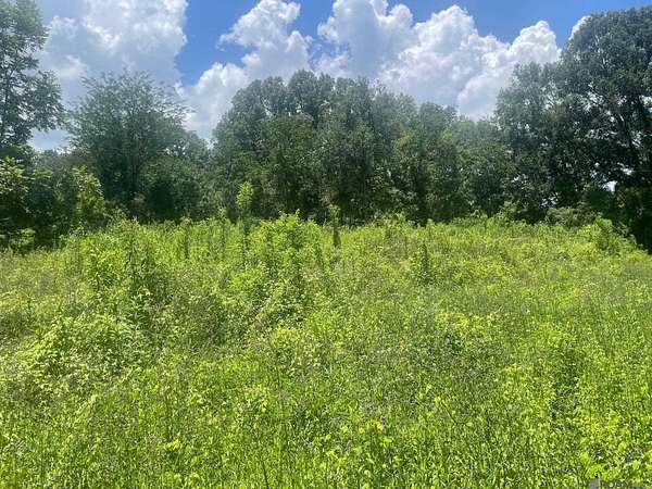 0.59 Acres of Residential Land for Sale in Baton Rouge, Louisiana