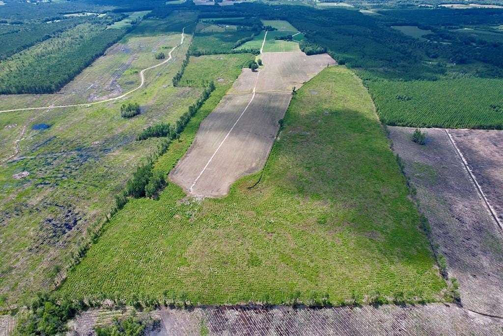 166 Acres of Land for Sale in New Zion, South Carolina