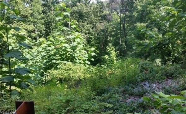0.9 Acres of Residential Land for Sale in Montville Township, New Jersey