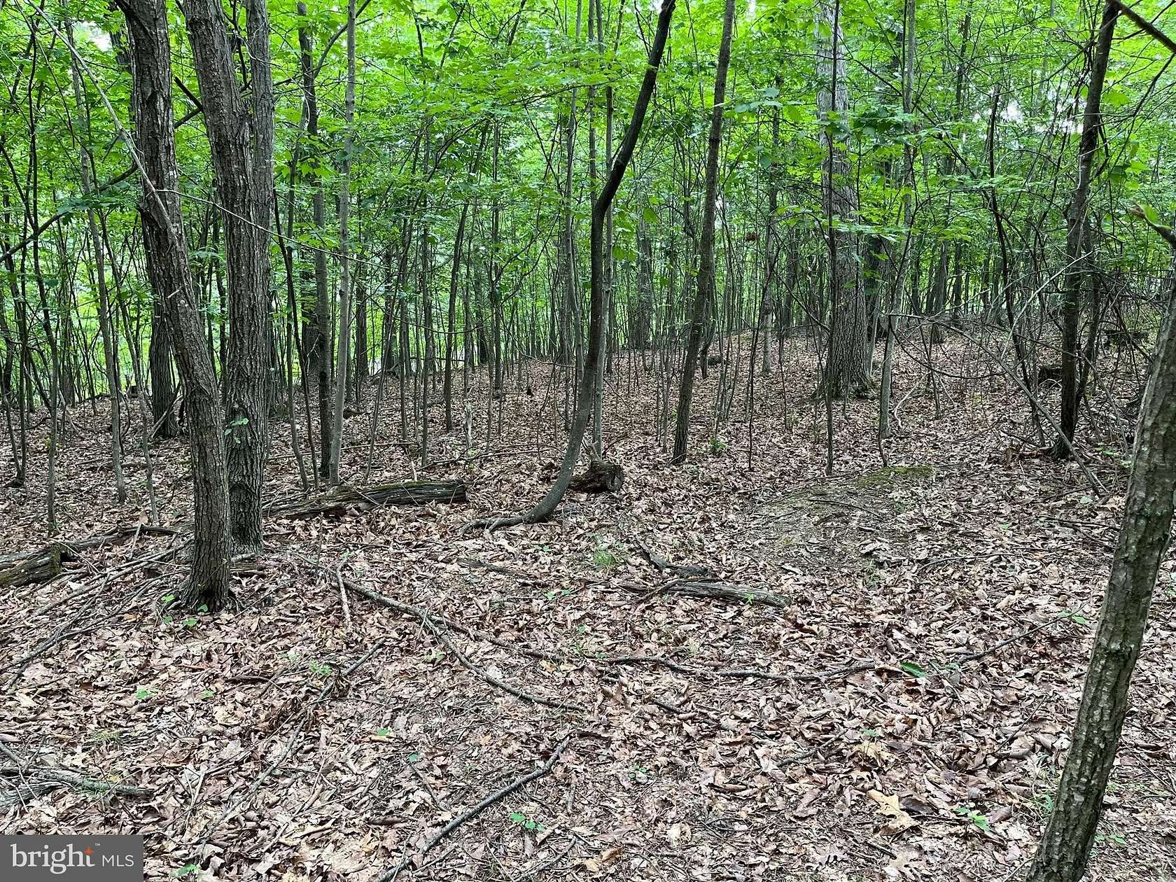 23.9 Acres of Land for Sale in Berkeley Springs, West Virginia