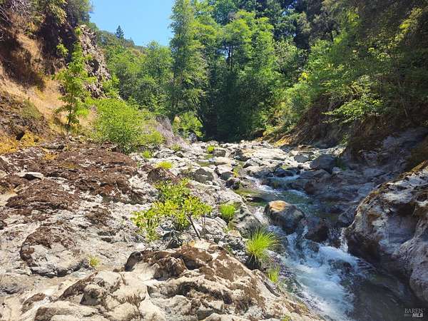 2.23 Acres of Land with Home for Sale in Leggett, California