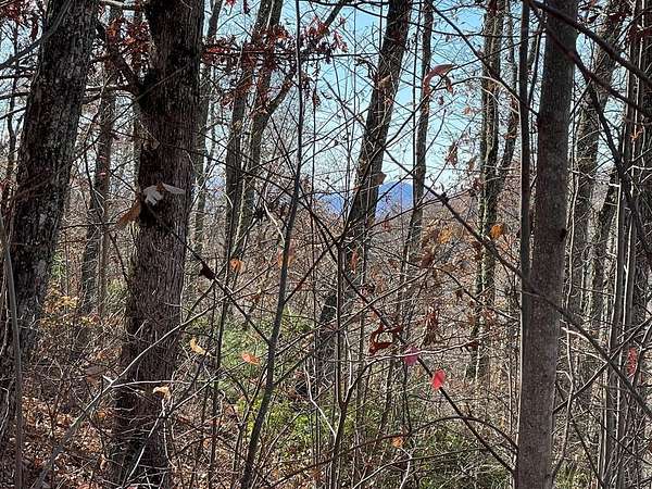 5.7 Acres of Residential Land for Sale in Hayesville, North Carolina