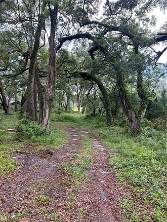 5 Acres of Land for Sale in Gainesville, Florida