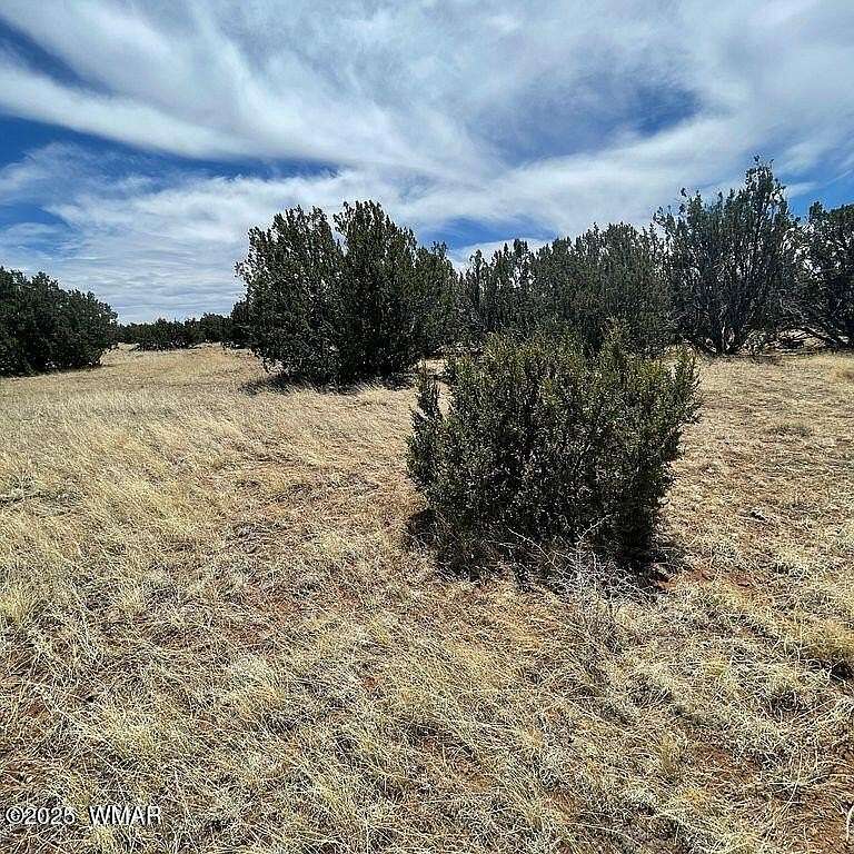 1.16 Acres of Residential Land for Sale in Concho, Arizona