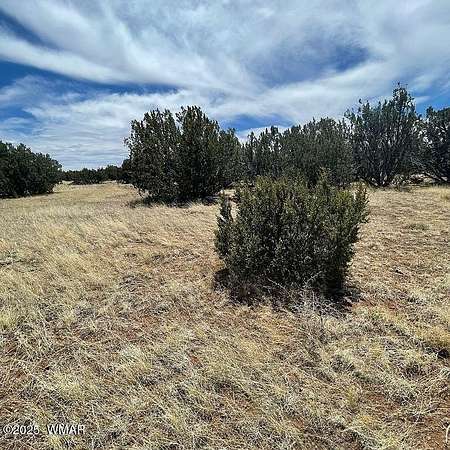 1.16 Acres of Residential Land for Sale in Concho, Arizona