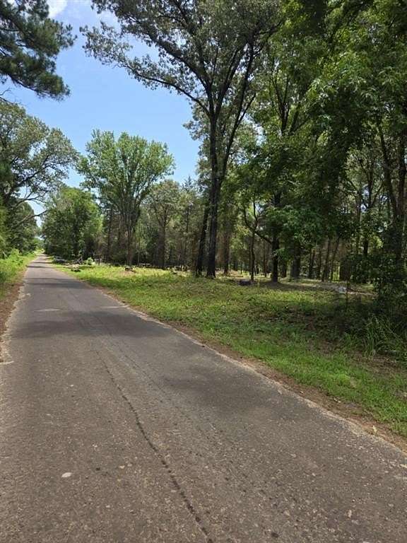3 Acres of Residential Land for Sale in Ben Wheeler, Texas
