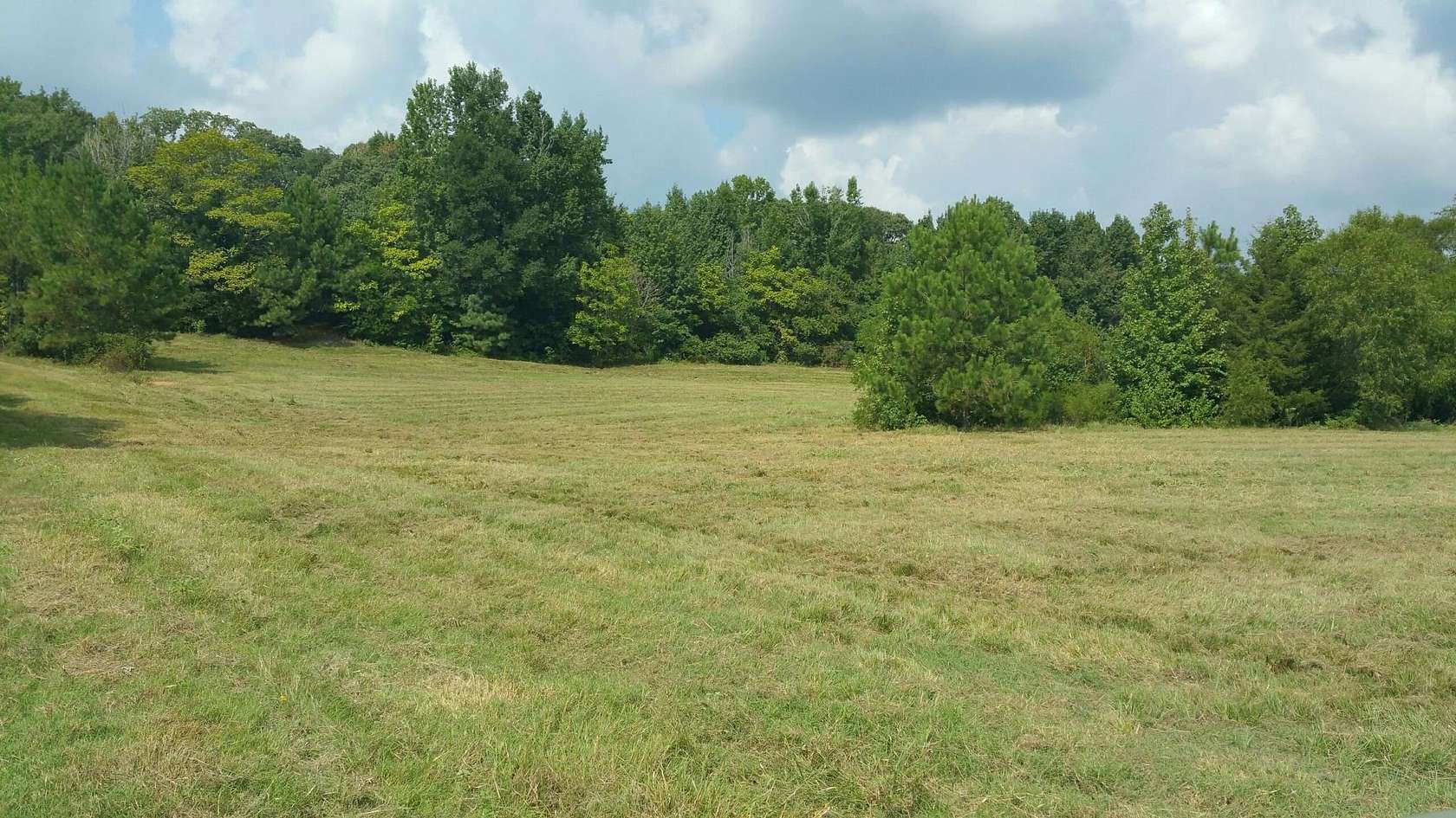 20 Acres of Recreational & Residential Land for Sale in Tyler, Texas