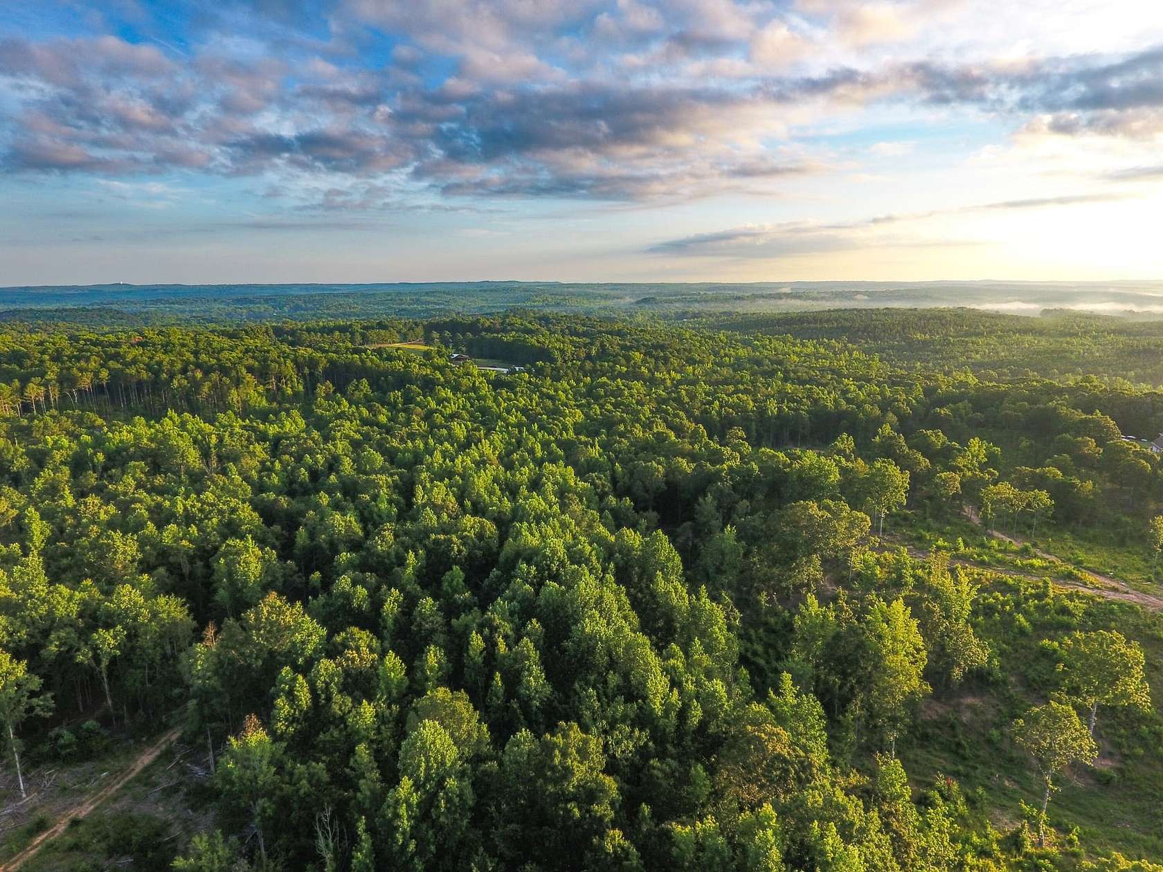 46 Acres of Recreational Land for Sale in Buchanan, Georgia