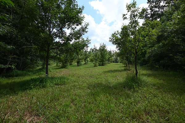 53 Acres of Land for Sale in Decaturville, Tennessee