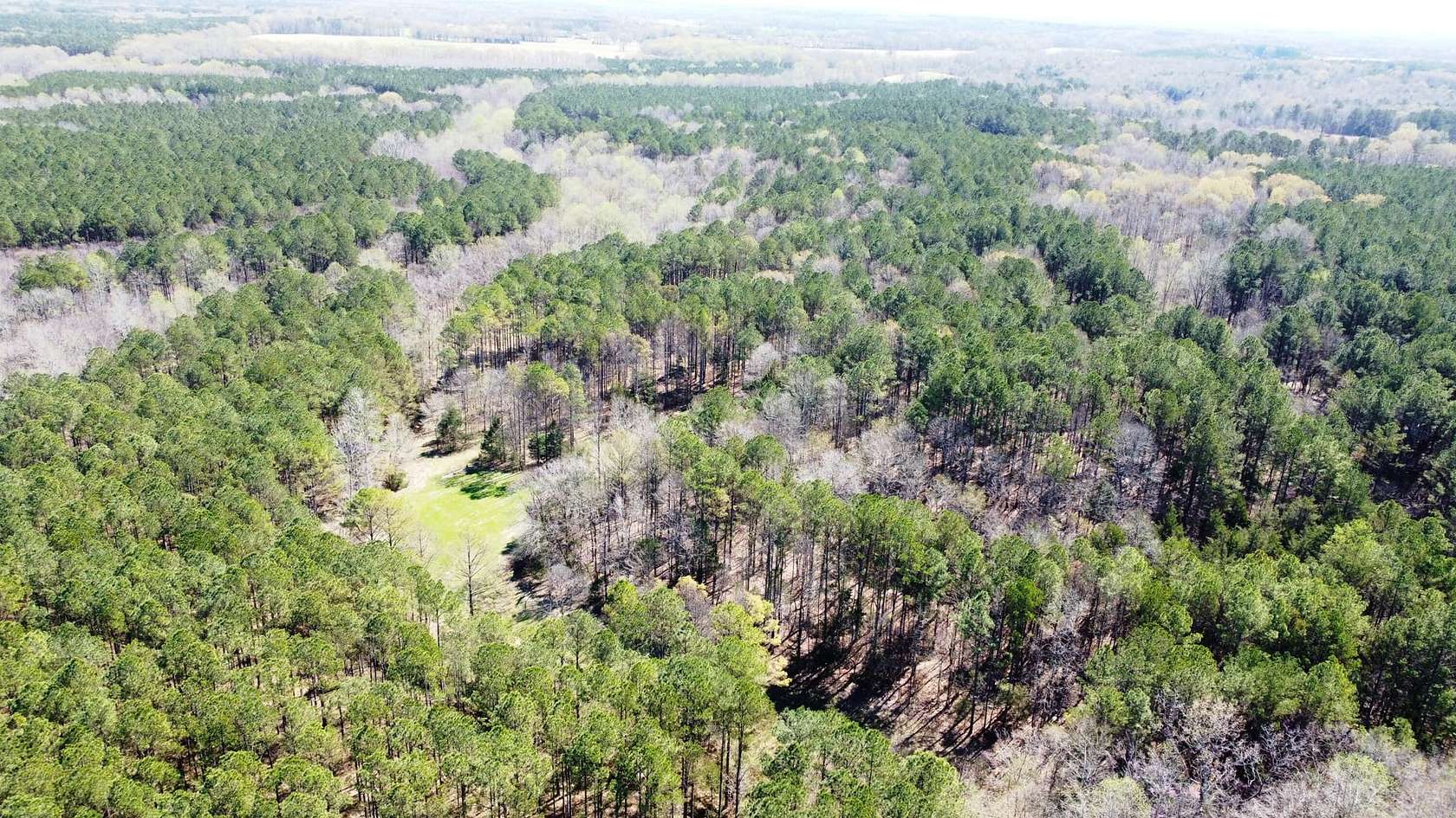 200 Acres of Recreational Land & Farm for Sale in Rienzi, Mississippi