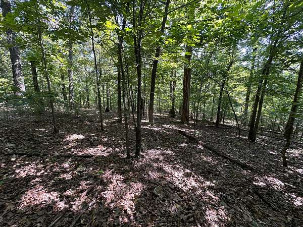 14 Acres of Recreational Land for Sale in Hardy, Arkansas