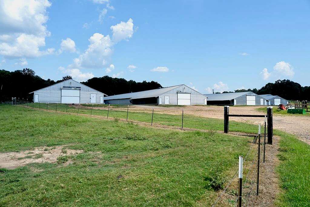 40 Acres of Agricultural Land with Home for Sale in Lena, Mississippi